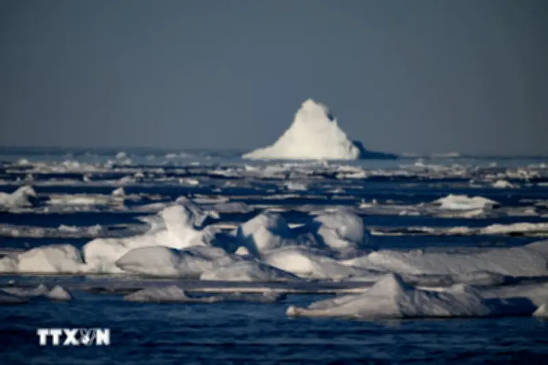 Cảnh báo hậu quả môi trường nghiêm trọng đối với vùng Bắc Cực