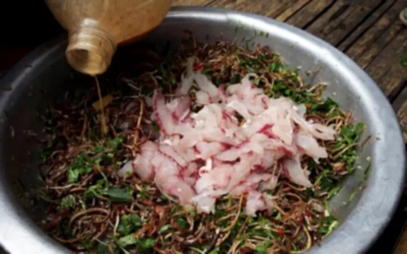 Cảnh báo nguy cơ sức khỏe từ gỏi cá, hải sản sống và tiết canh