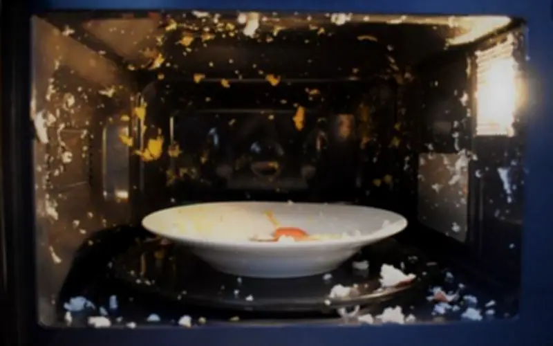 Cảnh báo: Những thực phẩm nguy hiểm khi hâm nóng bằng lò vi sóng