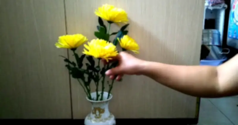 Cảnh báo thói quen để hoa cúc héo trên bàn thờ: Sai lầm phổ biến cần tránh