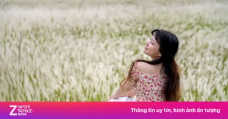 Cánh đồng cỏ lau TP.HCM bất ngờ 'gây sốt' mạng xã hội, trở thành điểm check-in lý tưởng