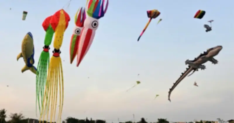 Cánh đồng diều Bà Canh: Điểm hẹn vui chơi miễn phí giữa lòng Sài Gòn