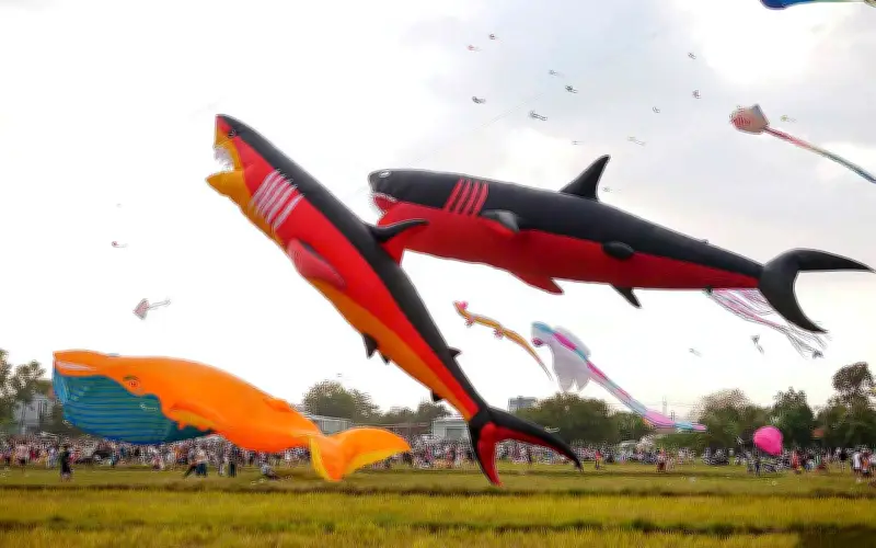 Cánh đồng diều Bà Canh nhộn nhịp với những chiếc diều khổng lồ và ánh sáng lung linh