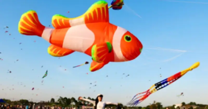 Cánh đồng diều khổng lồ ở TP.HCM: Điểm hẹn rực rỡ sắc màu thu hút giới trẻ