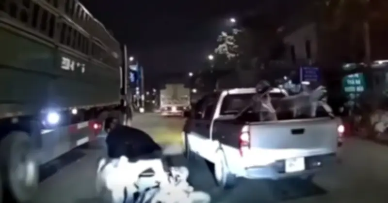 Cảnh Sát Giao Thông Tiếp Nhận Tin Báo Vi Phạm: 5 Cách Báo Cáo Hiệu Quả