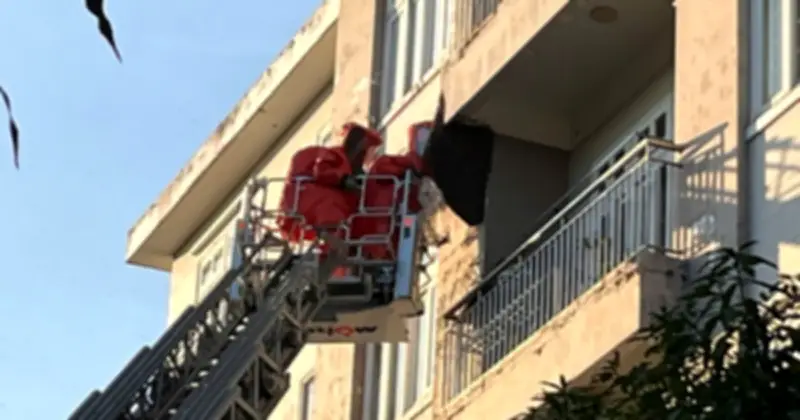 Cảnh sát PCCC TP.HCM xử lý thành công tổ ong khủng trong khu dân cư