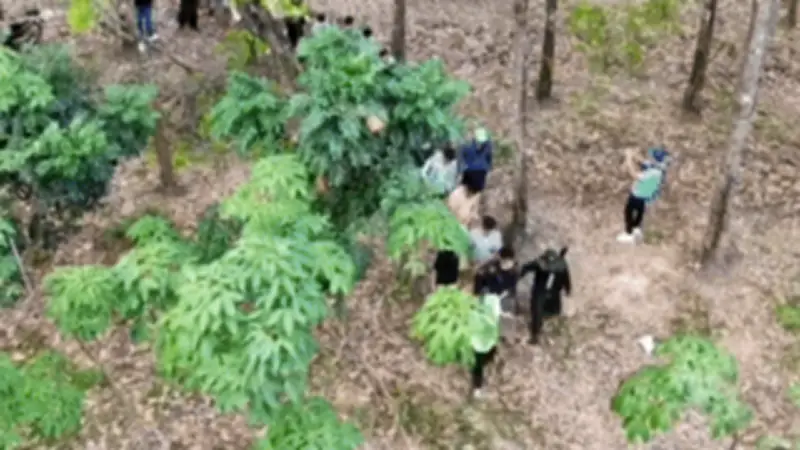 Cảnh sát TP.HCM dùng flycam triệt phá sòng bạc trong rừng, bắt hơn 80 người