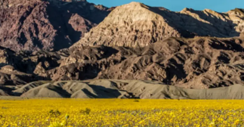 Cảnh tượng hiếm thấy ở Thung lũng Chết sau 10 năm biến đổi khí hậu