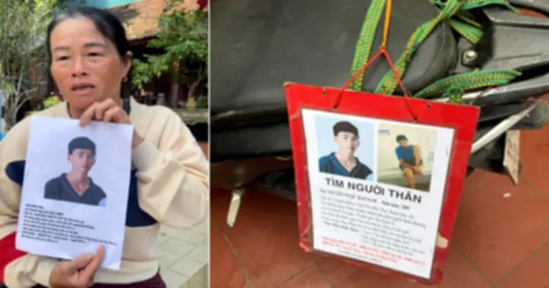 Con bò nhà đi lạc vì bị đánh mê man ở Phú Thọ: Cuộc tìm kiếm đẫm nước mắt