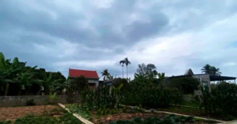 Con dâu bật khóc khi chồng vừa bước vào phòng ngủ sau 2 năm xa cách