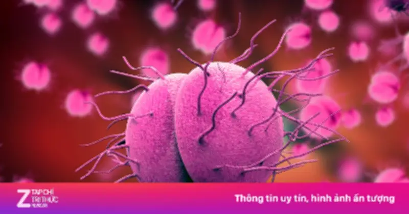 Con Đường Chính Lây Truyền Bệnh Lậu: Nhận Diện Và Phòng Ngừa Hiệu Quả