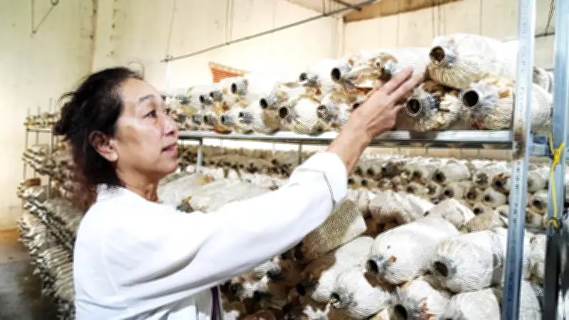 Cựu binh Lê Thị Nguyệt: Từ phá sản đến xây dựng mô hình kinh tế tuần hoàn vì cộng đồng