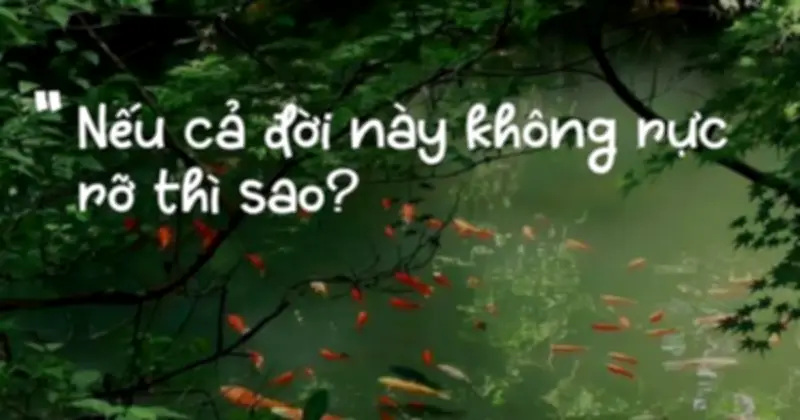 Câu hỏi 'Nếu cả đời này không rực rỡ thì sao?' gây bão mạng xã hội, khơi dậy suy tư sâu sắc