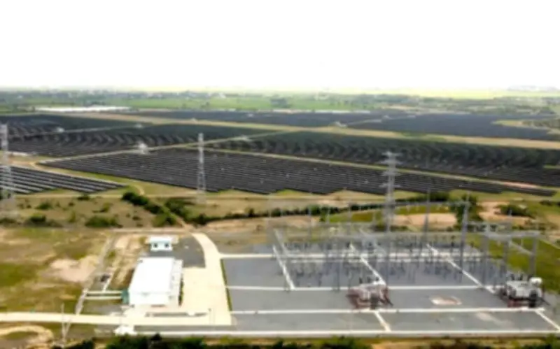 Cựu Phó Cục trưởng Thuế Ninh Thuận bị truy tố vì thiếu trách nhiệm trong dự án điện mặt trời