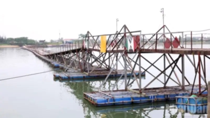 Cầu phao Triệu Độ dừng hoạt động: Tranh cãi phân loại và ảnh hưởng đến hàng nghìn dân