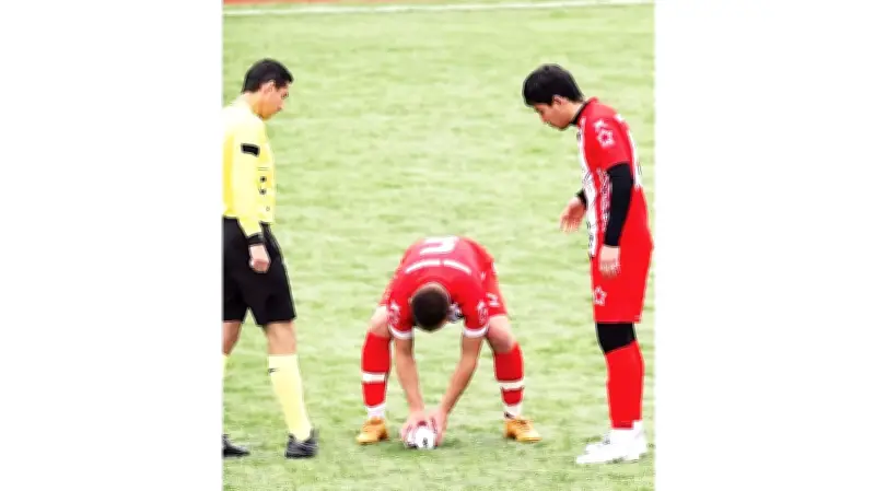 Cầu thủ bóng đá thực hiện CPR cứu sống mòng biển trong trận đấu gây xúc động