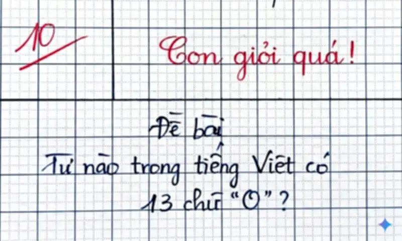 Câu đố tiếng Việt: Từ nào có 13 chữ 'O'? Đáp án gây bất ngờ