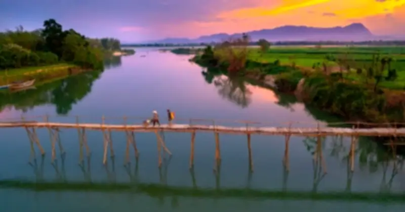 Cầu tre Cẩm Đồng: Nét chấm phá bình yên giữa lòng Đà Nẵng