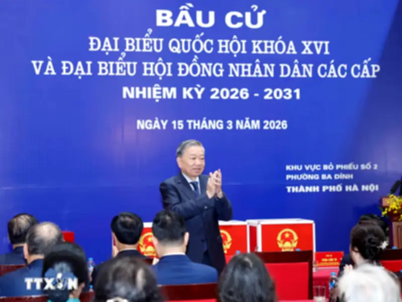 Cuộc Bầu Cử Ngày 15/3/2026: Ngày Hội Non Sông Với Tỷ Lệ Cử Tri Tham Gần 100%