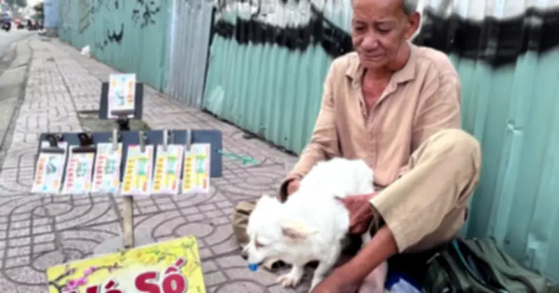 Cuộc mưu sinh trần trụi dưới chân cầu vượt: Những phận đời bán vé số và nỗi khát khao bảo hiểm y tế