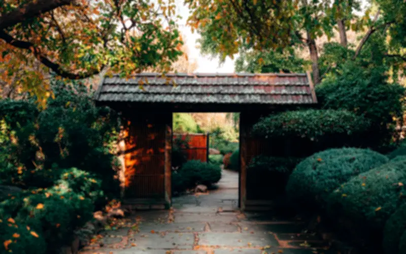 Cuộc sống cô đơn sau nghỉ hưu: Tôi tưởng đã khép lại cho đến khi nghe bạn cũ nói một câu