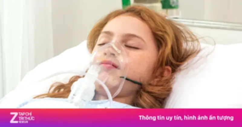 Cuốn Sách 'Hiểu Về Sự Chết' Khám Phá Tiến Trình Sinh Lý Của Cái Chết