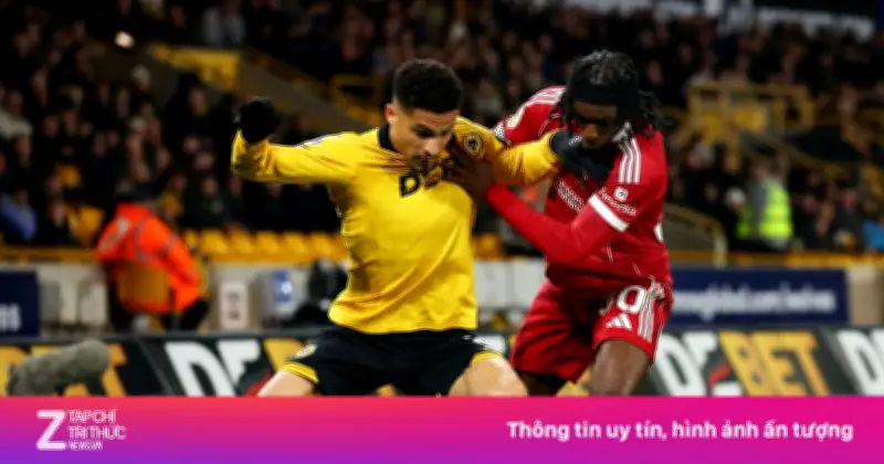 CĐV MU Kêu Gọi Ký Ngay Joao Gomes Sau Màn Tỏa Sáng Làm Lu Mờ Liverpool