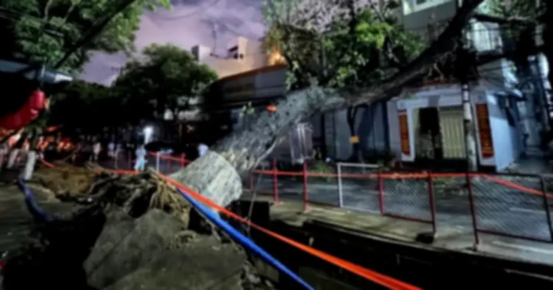 Cây cổ thụ bật gốc đổ ngang đường Phan Châu Trinh, Đà Nẵng sau mưa lớn