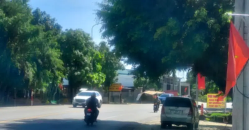 Cây cổ thụ sà tàn xuống đường QL20, nguy cơ tai nạn giao thông tại Đồng Nai