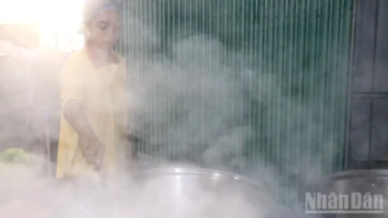 Cây Thốt Nốt An Giang: Từ Di Sản Đến Sản Phẩm Du Lịch Và Kinh Tế Bền Vững