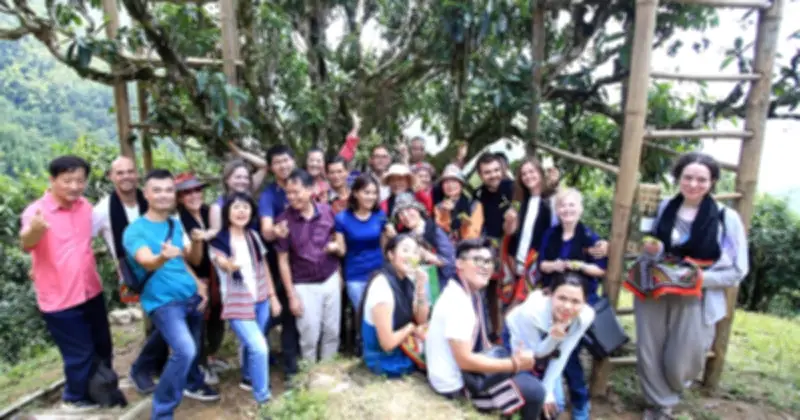 Cây trà di sản 001 Nậm Piên: Từ vinh quang đến lãng quên và bài học bảo tồn