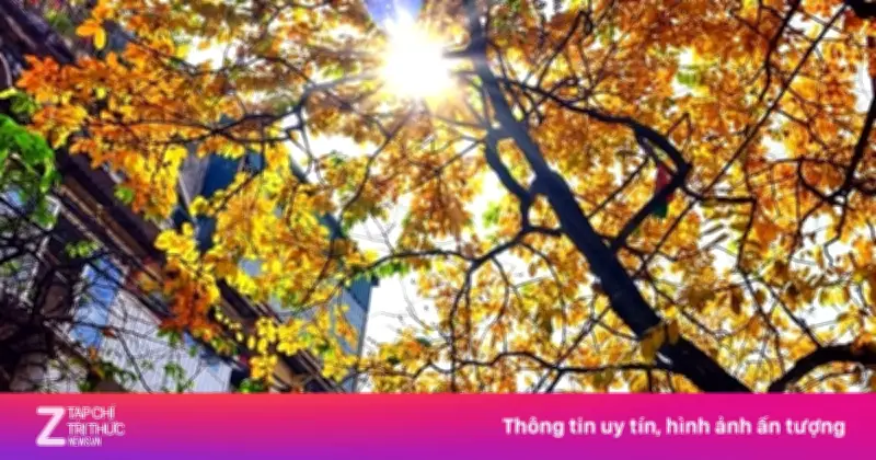 Dự báo thời tiết 17/3: Hà Nội nắng ấm 28°C, TP.HCM có mưa cục bộ về đêm