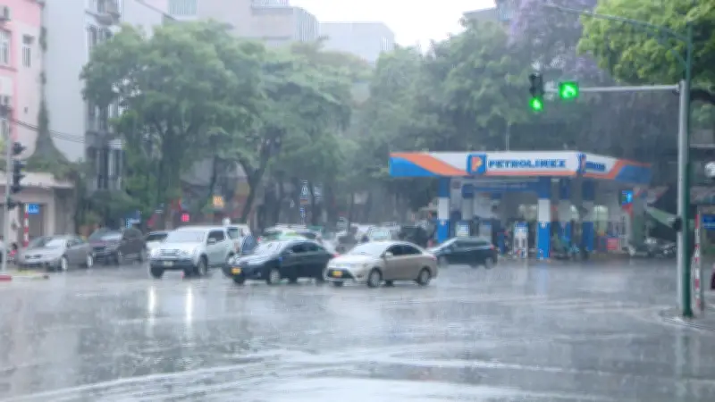 Dự báo thời tiết Bắc Bộ và Bắc Trung Bộ: Mưa rải rác, sương mù và rét về đêm