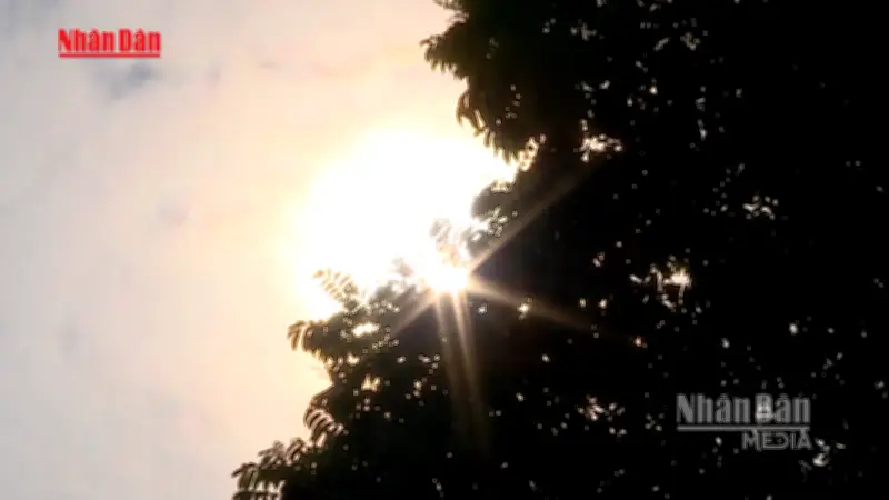 Dự báo thời tiết tháng 4-6: Nắng nóng gia tăng, nhiệt độ cao hơn ở Bắc bộ