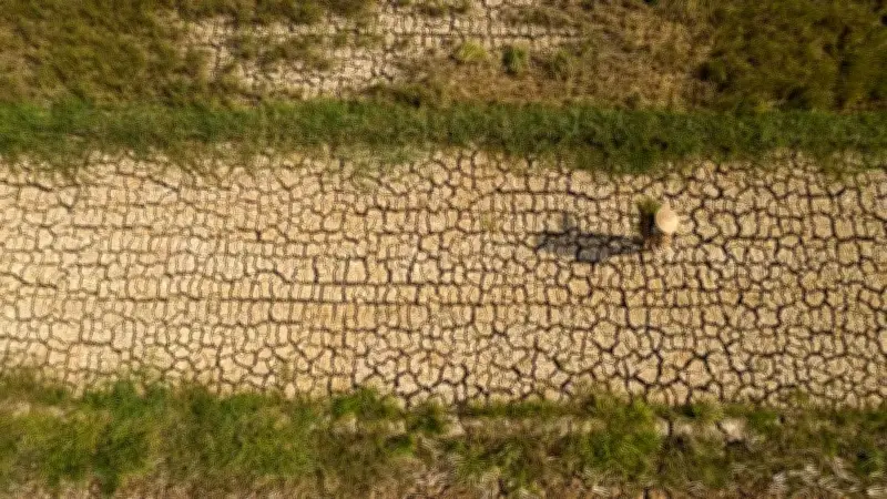 Dự báo thời tiết và xâm nhập mặn tại Tây Nam Bộ từ 21-31/3: Nắng nóng và mặn tăng cao