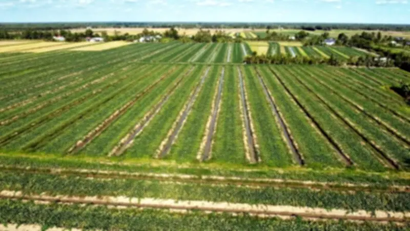 Dự báo thời tiết và xâm nhập mặn Tây Nam Bộ từ 11-20/3: Nắng nóng và triều cường biến động