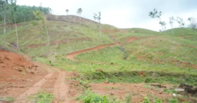 Di tích Truông Mây: Nơi lưu giữ huyền thoại Chàng Lía và khát vọng tự do