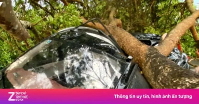 Dông Lốc Dữ Dội Tàn Phá Nghĩa Lộ, Lào Cai: Cây Đổ, Nhà Tốc Mái, Nhiều Người Bị Thương