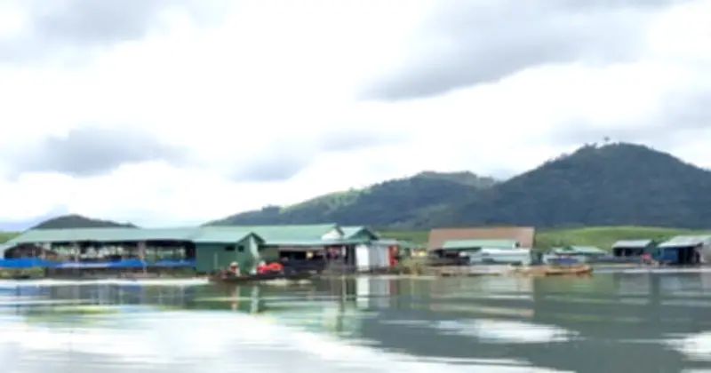 Dòng Pô Kô - Dòng sông của hy vọng và khát vọng đổi đời của người miền Tây