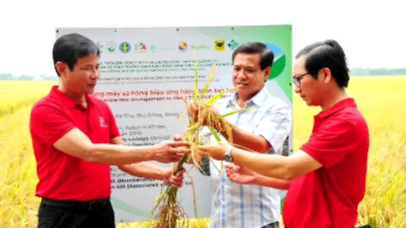 Dòng Vốn Xanh Thúc Đẩy Nông Nghiệp Phát Thải Thấp Tại Đồng Bằng Sông Cửu Long