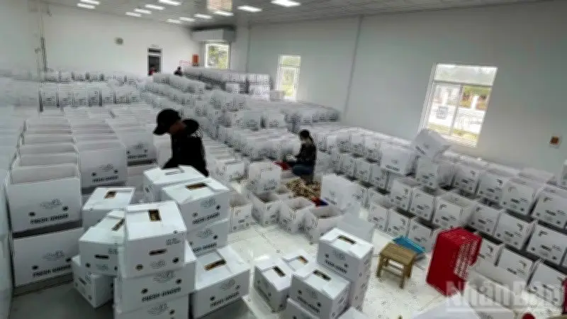 Doanh nghiệp mới tháng 2/2026 giảm mạnh, vốn bình quân tăng cao so với tháng trước