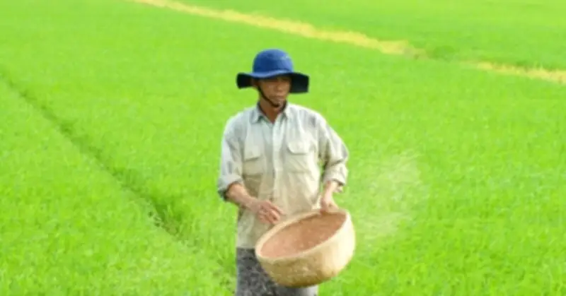 Doanh nghiệp nông nghiệp chung tay ổn định giá cả, chia sẻ khó khăn với nông dân