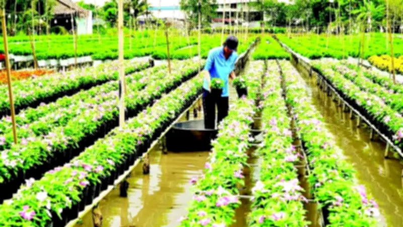 Doanh nghiệp Sa Đéc đẩy mạnh đóng góp kinh tế-xã hội và du lịch năm 2025