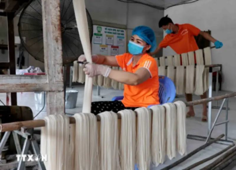 Doanh nghiệp tư nhân và nhà nước cùng phát triển, nâng cao hiệu quả kinh tế