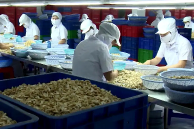 Doanh nghiệp Việt hồi hộp theo dõi các lô hàng xuất đi Trung Đông