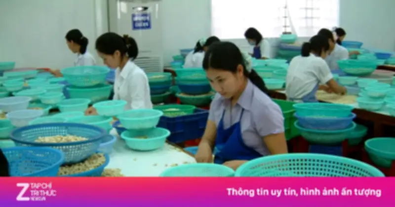 Doanh Nghiệp Việt Tìm Lối Thoát Giữa Khủng Hoảng Logistics Và Giá Nguyên Liệu Tăng