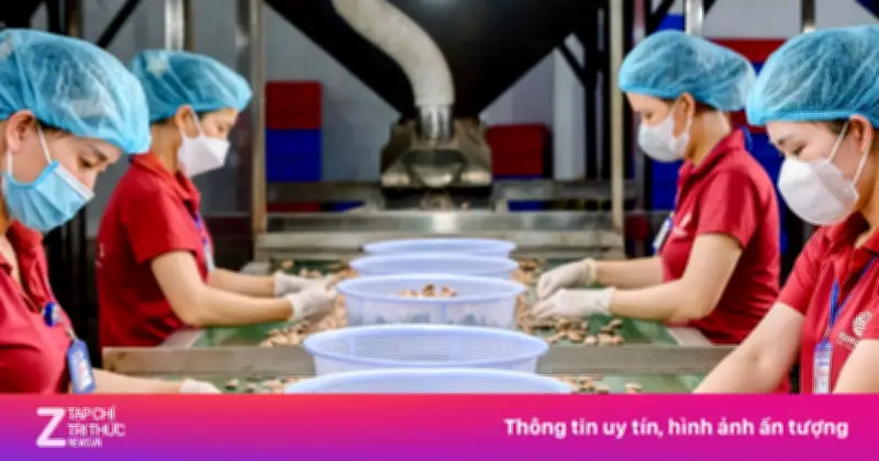 Doanh nghiệp xuất khẩu Việt Nam căng mình ứng phó rủi ro từ chiến sự Trung Đông