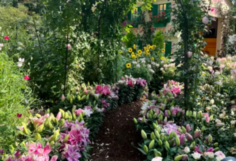 Du lịch xanh: Xu hướng tất yếu và những bước tiến tại Việt Nam