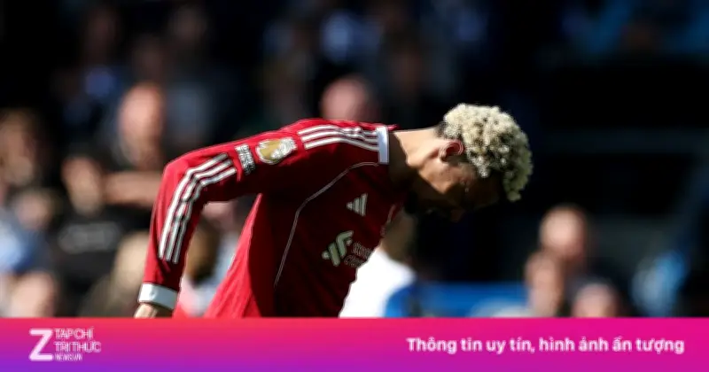Ekitike Bật Khóc Sau Chấn Thương, Liverpool Chao Đảo Trước Brighton