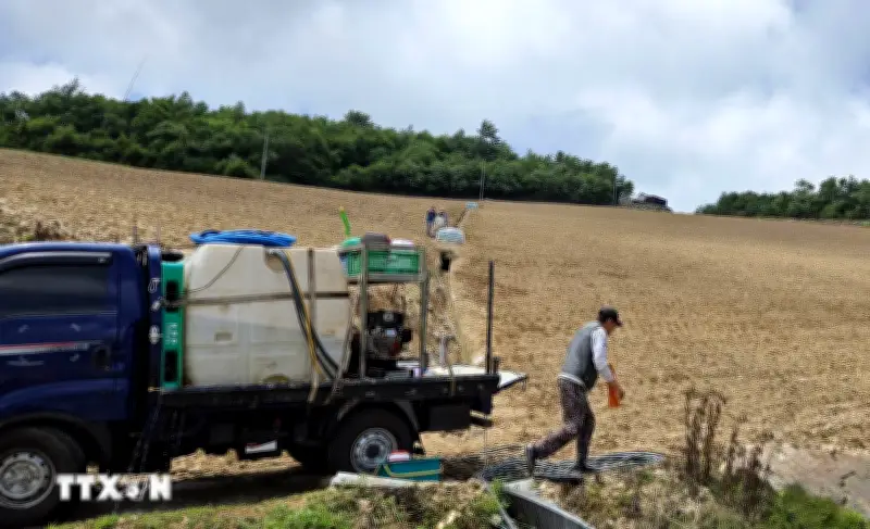 El Niño và La Niña: Cảnh báo khẩn cấp về thảm họa hạn hán trên Trái Đất
